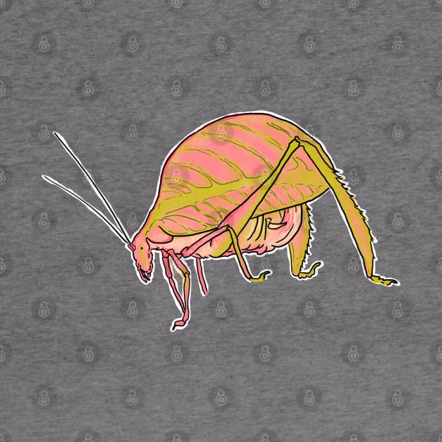 Rose-tinted katydid or Eulophophyllum kirki, just a friendly flamingo-pink insect by tostoini